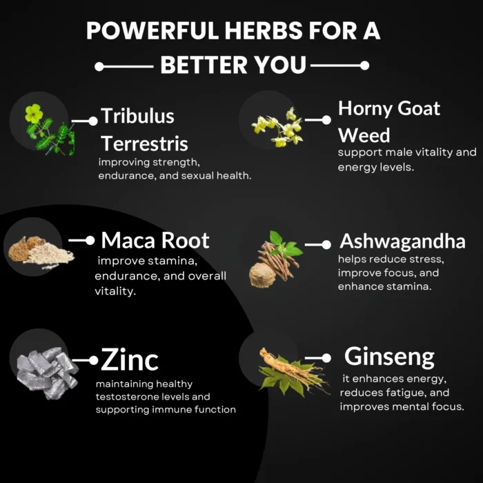 Zyrexin – World's Strongest Power Enhancer - Image 4